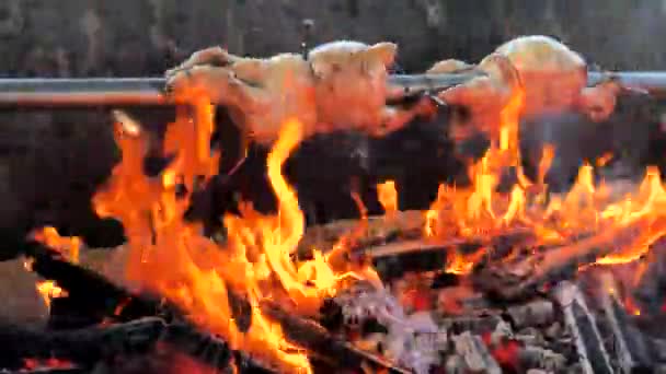 Chicken Roasted Spit Being Grilled Bright Glowing Beech Wood Coals — Stock Video