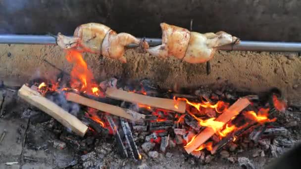 整只鸡和腌肉一起放在炭烤架上煎 和朋友一起为派对烤晚餐 — 图库视频影像