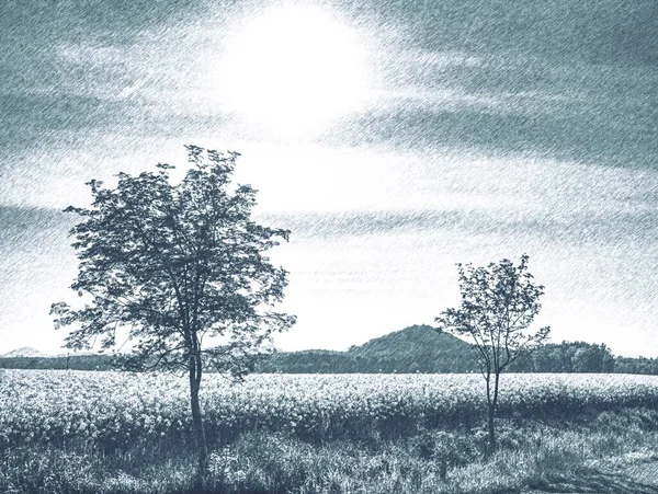 Krajobraz Rolniczy Dużym Polem Pszenicy Zielonym Limonką Samotne Drzewo Polu — Zdjęcie stockowe