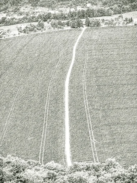 Lkbaharda Ağaçlık Yolda Dalgalanan Tarlalar Kırpılmış Kalem Çizim Efekti — Stok fotoğraf