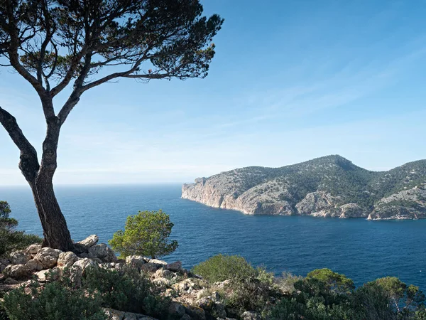 Punto Vista Torre Cap Andritxol Mallorca Pintoresco Paisaje Costa Rocosa —  Fotos de Stock