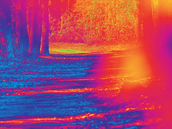 森の中のパスの熱カメラビュー 赤外線またはサーモグラフィーの写真 赤外線素晴らしいサーモグラフィーの写真 — ストック写真