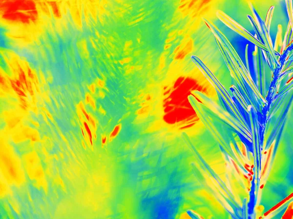 サーマルカメラでスキャンされた森林火災で小枝 温度放射線スキャン 赤外線またはサーモグラフィーの写真 — ストック写真