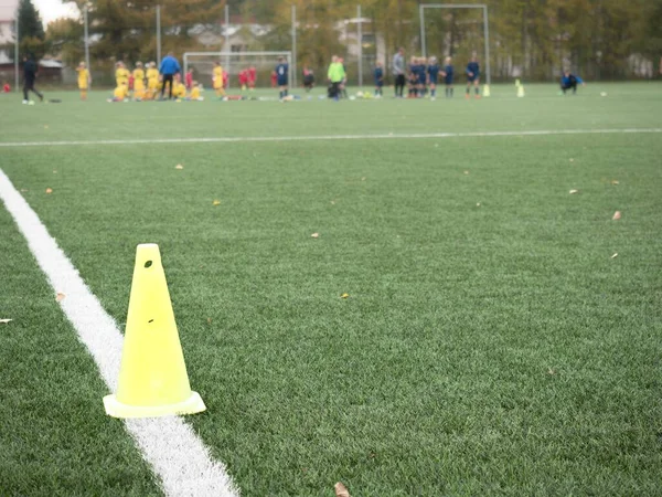 Campo Fútbol Tradicional Césped Con Líneas —  Fotos de Stock