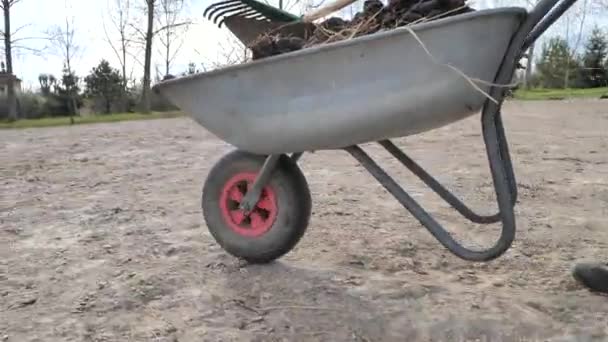 Hombre Cosas Está Caminando Con Carretilla Cumplida Potrero Caballos Trabajador — Vídeos de Stock