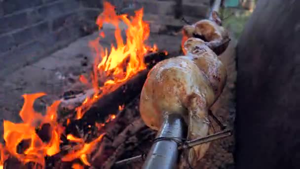 Κοτόπουλο Ψήσιμο Πάνω Από Ένα Ανοιχτό Ξύλο Φωτιά Υπαίθρια Μαγείρεμα — Αρχείο Βίντεο