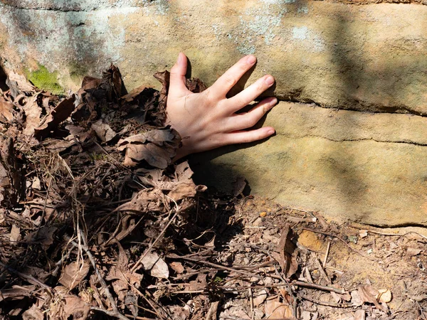 Жінка Рука Пальцями Піднімається Скелю Гнилого Листя Пальці Вказують Вгору — стокове фото