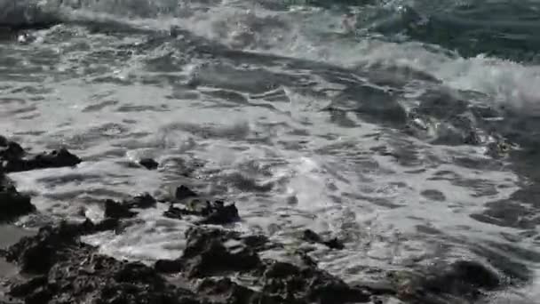 Gröna Bruna Havsalger Stenig Havsstrand Mossigt Vågbrytare Stormigt Havsvatten Strand — Stockvideo