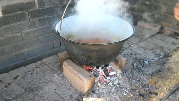 重い煙の中で肉汁を沸騰させたエナメル釜 庭のオープンストーブで料理 ガーデンパーティー 友人イベント — ストック動画