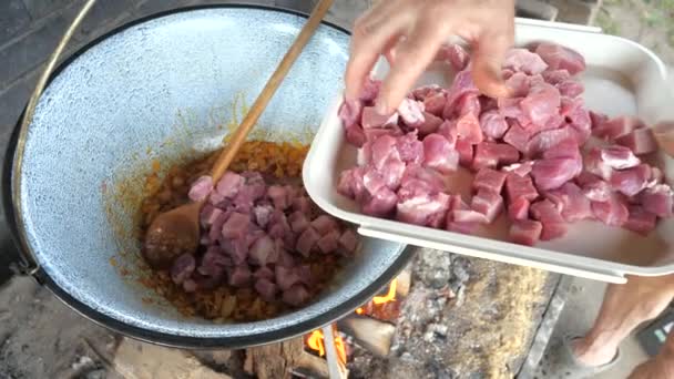 Hand Takes Chopped Pork Plastic White Plate Put Enamel Cauldron — Stock Video