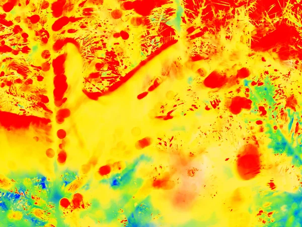熱カメラで見た森の中の火災 温度放射線スキャン 赤外線またはサーモグラフィーの写真 — ストック写真
