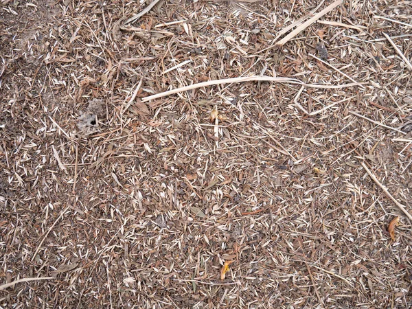 Agricultural Background Dried Pressed Hay Detailed Structure — Stock Photo, Image