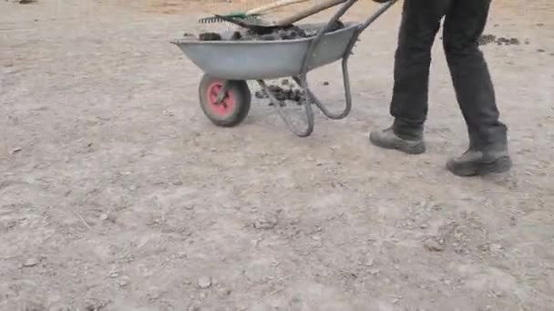 Collecting Isposal Horse Manure Horse Farm Farming Garden Work — Stock Video