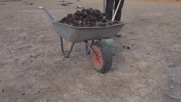 Ağır Çekim Çiftlik Çalışanları Donutlarını Yeşil Tırmık Alüminyum Kürekle Temizliyor — Stok video