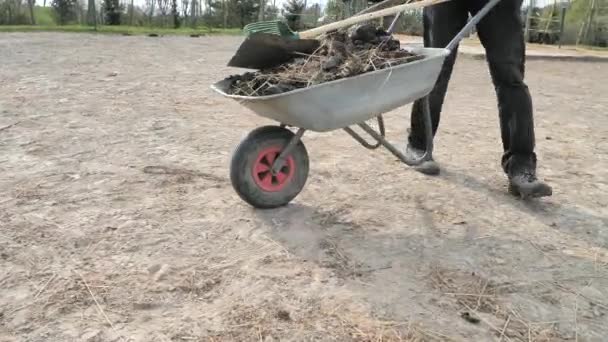 Equipe Fazenda Cavalos Está Limpando Balde Empoeirado Cara Carrega Excremento — Vídeo de Stock