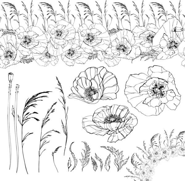 Poppy Bloemen Veldgrassen Grassprieten Geïsoleerd Een Witte Achtergrond Vector Handgetekende — Stockvector