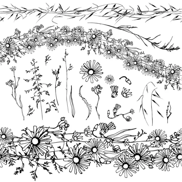 Ромашки Черно Белые Изолированные Венок Бесшовная Кисть Полевые Цветы Травы — стоковый вектор