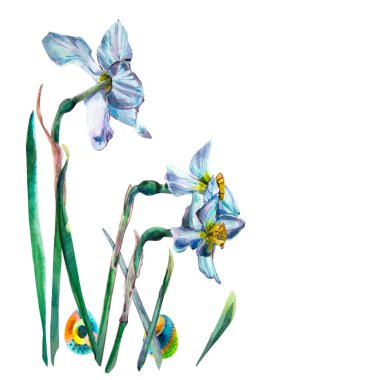 Nergis çiçekli ve boyalı yumurtalı Paskalya kartı. Yaşamın suluboya çizimi, rengin doğal tonları. Tebrik kartları için fikir.