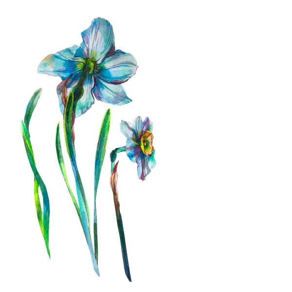 ダフォドールの花と卵を描いたイースターカード 生活の水彩画 色の自然な色合い グリーティングカード — ストック写真