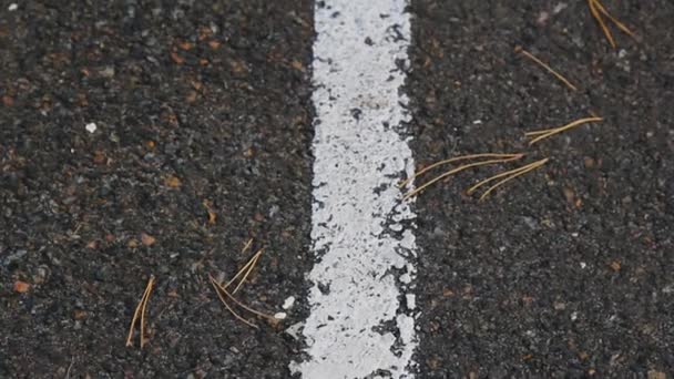 White Marking Lines Asphalt Road Motion Close Shot — Stock Video