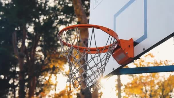 농구공 바구니를 뚫고 지나가는 태양 광선. — 비디오