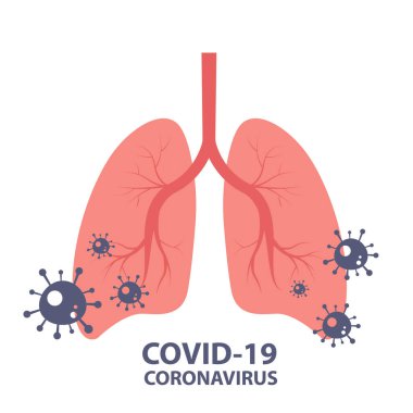 Covid19 veya Coronavirus. İnsan ciğerleri. Pandemik sağlık riski, bağışıklık bilimi, virüs bilimi, salgın hastalık konsepti..