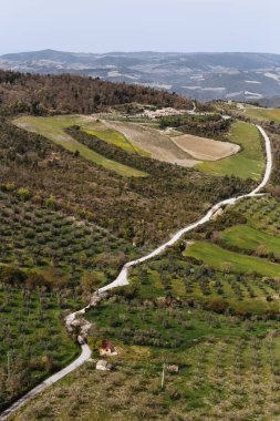 Toskana 'da ilkbahar.