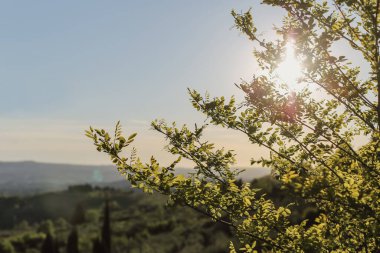 Toskana 'da ilkbahar.
