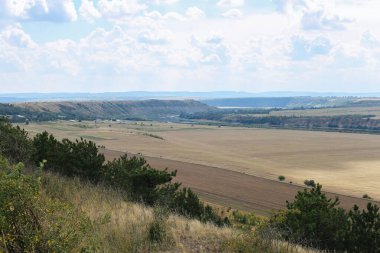 Saha, nehir. Farklı renk alanları olan sakin bir manzara. Yeşil alan, manzara.