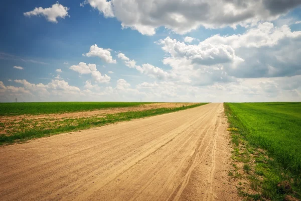 Mooi landschap met groene velden, weg en blauwe bewolkte hemel — Stockfoto