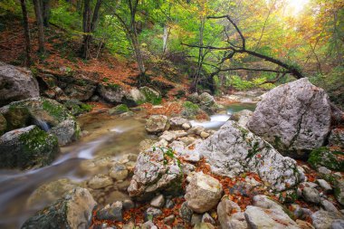 Güzel sonbahar yatay, dağ nehir ve renkli ağaçlar