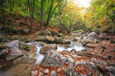 Güzel sonbahar yatay, dağ nehir ve renkli ağaçlar