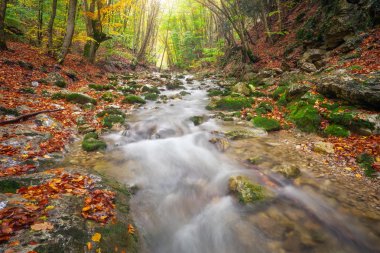 Güzel sonbahar yatay, dağ nehir ve renkli ağaçlar