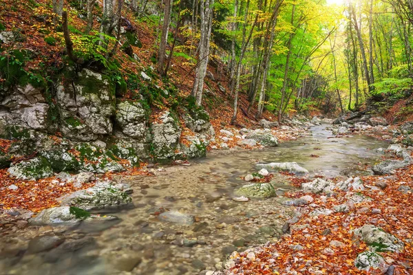 Bellissimo paesaggio autunnale con fiume di montagna e alberi colorati — Foto Stock
