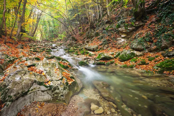 Bellissimo paesaggio autunnale con fiume di montagna e alberi colorati — Foto Stock