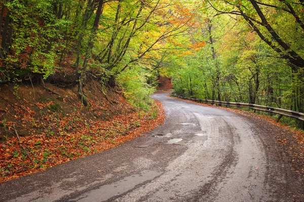 Road in kleurrijke herfst bos. Samenstelling van de natuur — Stockfoto