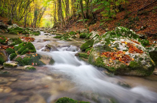 Krásné podzimní krajina s horské řeky a barevné stromy — Stock fotografie
