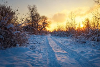 Güzel kış manzara gündoğumu gökyüzü, yol ve kar ağaçlarda