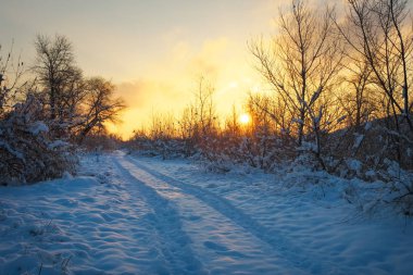 Güzel kış manzara gündoğumu gökyüzü, yol ve kar ağaçlarda