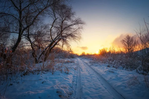 Bellissimo paesaggio invernale con cielo all'alba, strada e alberi nella neve — Foto Stock