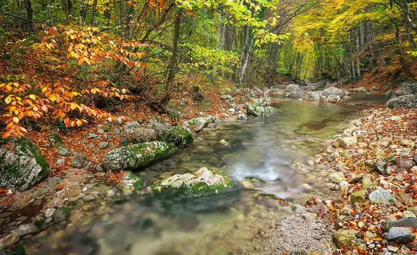 Beautiful autumn landscape with mountain river and colorful trees — Stock Photo, Image