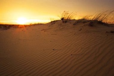 Günbatımı gökyüzü ve dalgalı kum ile güzel manzara. 
