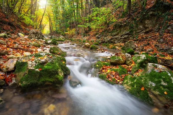 Beautiful autumn landscape with mountain river and colorful trees — Stock Photo, Image