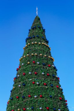 Süslü Noel ağacı. Mavi gökyüzü arka plan karşı köknar ağacı