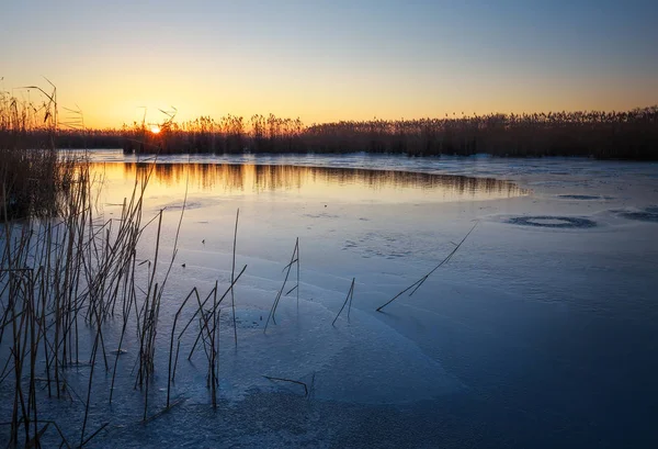 用冰冻的河面、 芦苇和落日的天空的冬季景观。黎明 — 图库照片