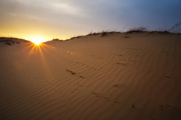 Paisagem bonita com céu por do sol e areia ondulada . — Fotografia de Stock