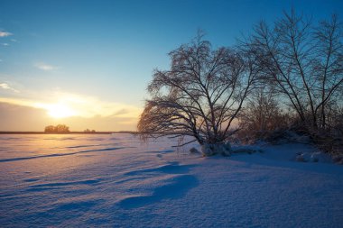 Donmuş göl, ağaçlar ve günbatımı gökyüzü güzel kış manzarası
