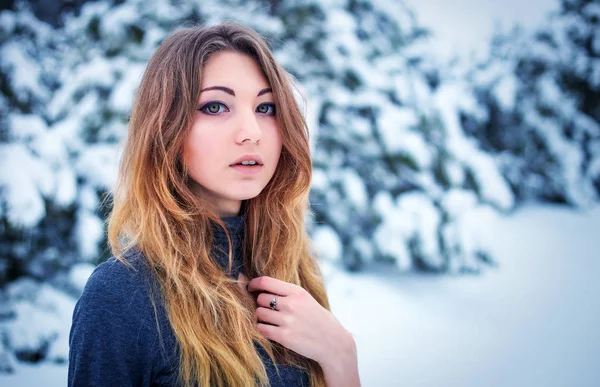 Красивая молодая девушка позирует зимой в холодном лесу — стоковое фото