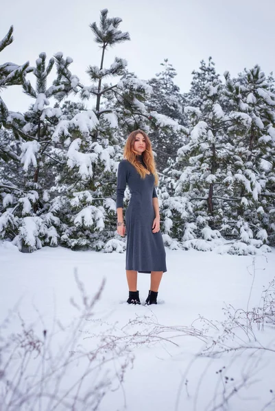 genç ve güzel kız kışın soğuk ormanda poz 