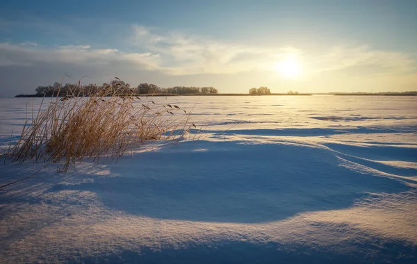 Winterlandschaft mit Schilf, gefrorenem See und Sonnenuntergang. — Stockfoto